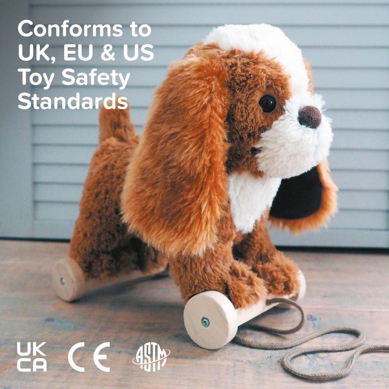 Little Bird Told Me - Pull Along Toy with Removable