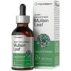Horbäach Mullein Leaf Extract Drops | 2 fl oz Alcohol-Free