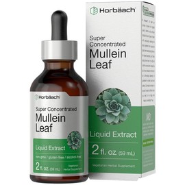 Horbäach Mullein Leaf Extract Drops | 2 fl oz Alcohol-Free Liquid Tincture | Herbal Supplement for Respiratory Support | Vegetarian, Non-GMO, Gluten Free