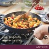 Anolon Advanced Home Hard-Anodized Nonstick Skillets (2 Piece Set- 10.25-Inch