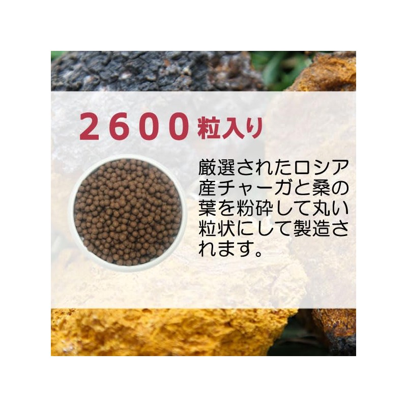 健康プラス チャーガ丸 粒タイプ 韓国 サプリメント カバノアナタケ 桑の葉配合 2600粒入り 200g