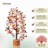 Mix Crystals Tree - Crystals and Gemstones - Chakra Tree