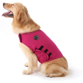 Mint Dog Coat for Relieving Anxiety, Lightweight Wrap-Around Top for Dogs with Anxiety, l