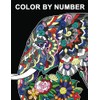 Color by Number