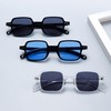 WDZAYXC Small Square Sunglasses for Men and Women, Classic Rectangular