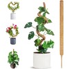 Monstera Stanches 1 Pack 120cm, Higo Stanches Can Be Bended