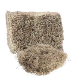 Royal Imports Preserved Natural Spanish Moss, Fresh Dried Shredded Loose Chunks, 8 Oz Bag