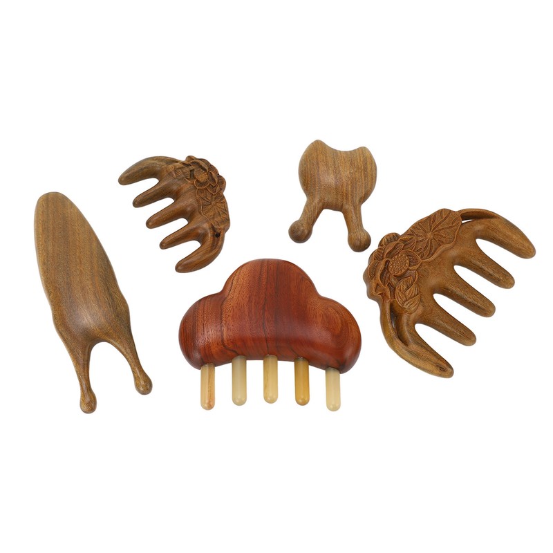 Meridian Massage Tool Kit Wood 3pcs Meridian Comb 2pcs Nose