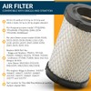 RARELEMON 796031 Air Filter Tune Up Kit, Compatible with Briggs