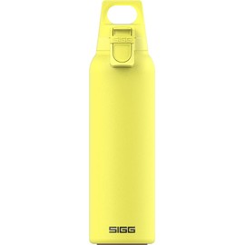 SIGG - Insulated Thermo Flask Hot & Cold ONE Light - With Fruit Filter - Leakproof - BPA-Free 18/8 Stainless Steel 19Oz