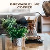 Ayurvedic Roast - Caramel, Organic Coffee Substitute Caffeine Free Antioxidant