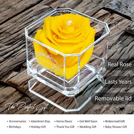 A 100% Real Rose That Lasts Years - Eternal Petals, Handmade in UK – White Gold Solo with A Multicolor Crystal (Yellow)