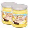 Specialty Pet Products Pet Odor Exterminator Candle, Pineapple & Coconut