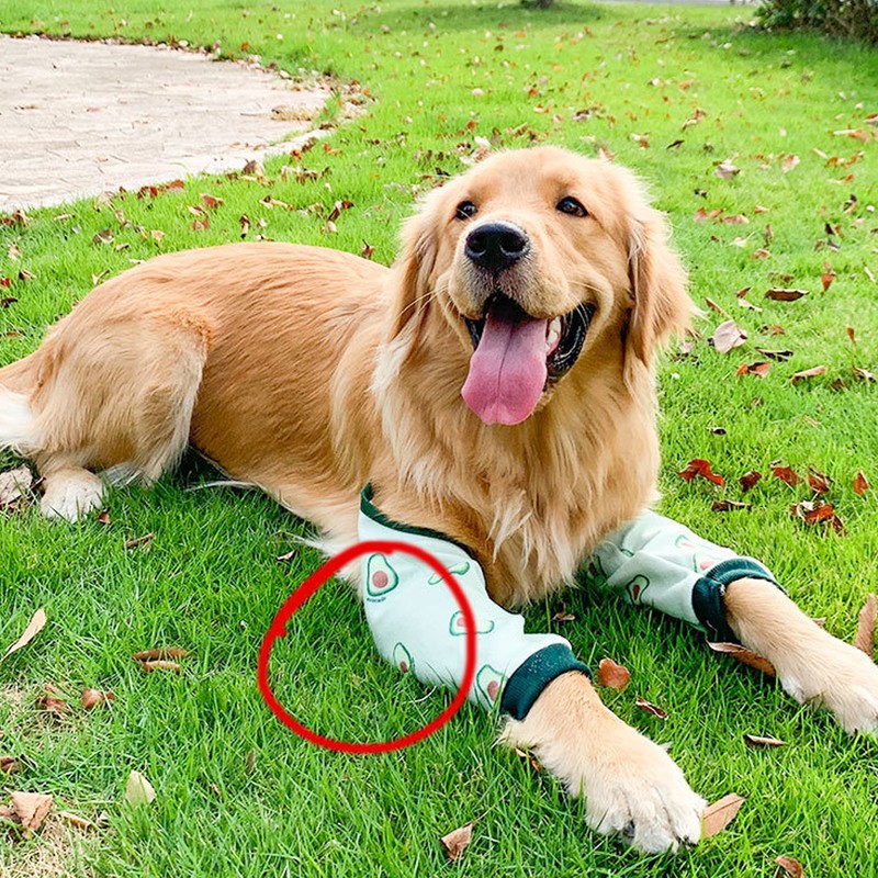 Dog Elbow Wounds Brace Thickened Soft Breathable Avocado Pattern Prevent