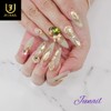 European princess handmade nail tips ✨ - Long stiletto /