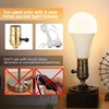 Briignite 3 Way LED Light Bulbs 50 100 150W Equivalent,
