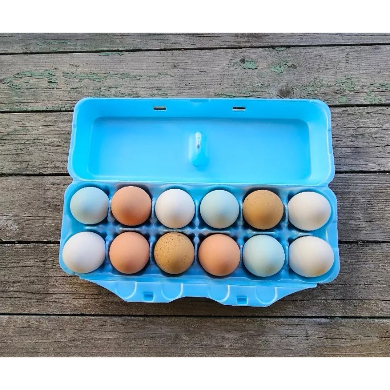 cheep cartons Styrofoam Bulk Egg Cartons (50 pack) Blue