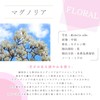 Magnolia < 10ml > Essential Oil/Essential Oil/Aroma Oil