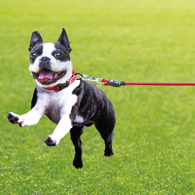 Petio Dog Drawstring Porta Training Long Leash 15m