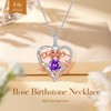 Lomantise Heart Birthstone Necklaces for Women, 925 Sterling Silver Rose