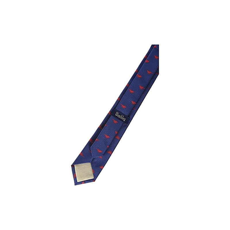 Wembley Big Boys Dinosaur Novelty Tie, Navy/Red, One Size