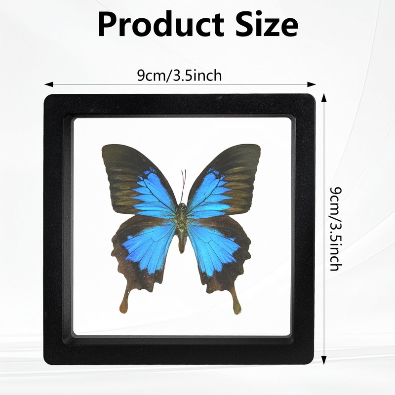 QUYLIXX Black 3D Floating Frame Display Holder Stands, Coin Display