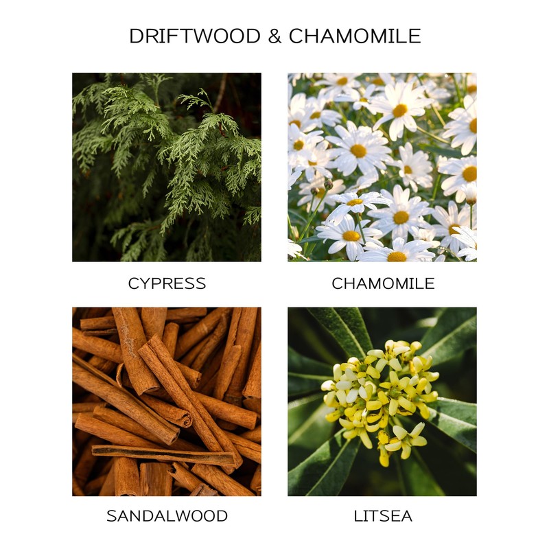 Airkeep Reed Diffuser Oil Refill with Diffuser Sticks, 6.76 Fl