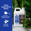 Organic Super Seaweed Humic Acid Blend for Lawn & Garden