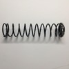 Wagner Spring Main Spring in a Master Cylinder F2981: F6431