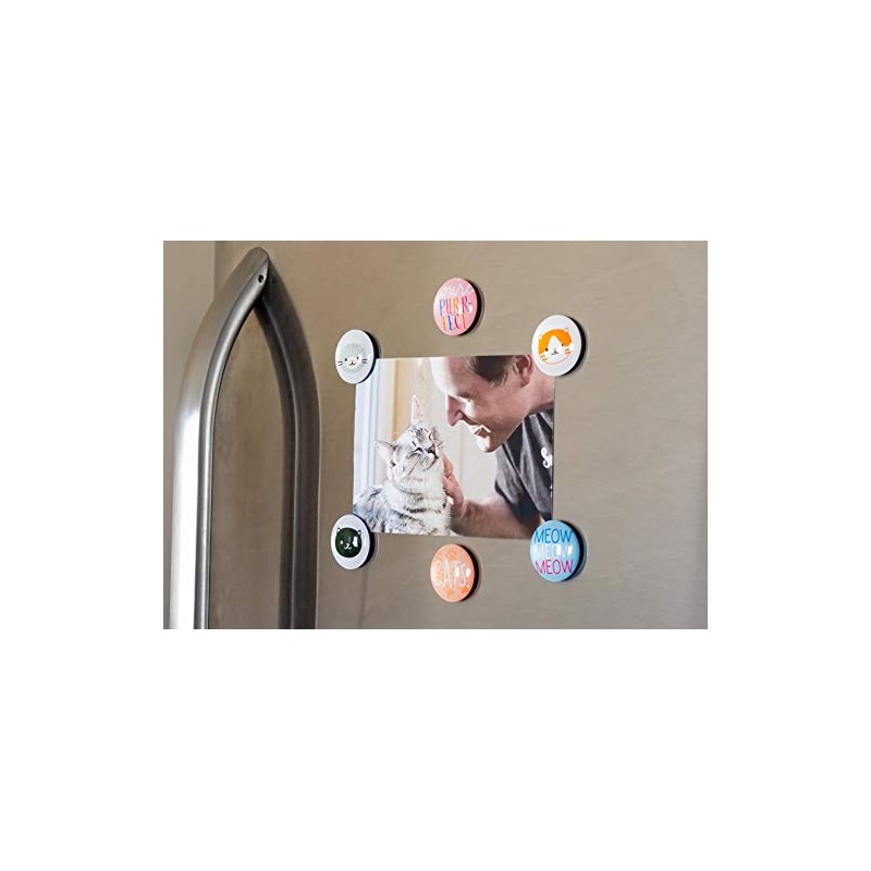 Pearhead Cat Kitchen Magnets, Pet Themed Refrigerator Magnets, Cat Décor