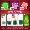 Crystals Advent Calendar 2024 - Crystal Growing Kit, 24 Days
