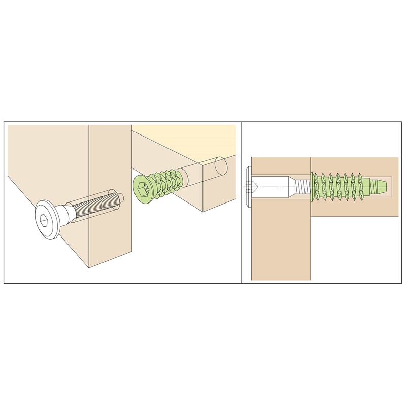 Murakoshi Seiko Demon Nut D Type 50 Pieces M5xL13 Made
