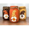 Gnome Fall Painted Mason Jars