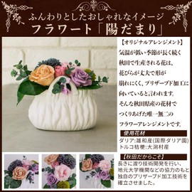 Flower Art Co., Ltd. Preserved Flower Arrangement Sunshine