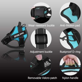 voopet Service Dog Harness, Emotional Support Pet Vest Harness, Reflective Breathable & Adjustable No Pull ESA Harness for Small Medium Large Dogs (with 4 PCS Removeable Tags),X Small (Pack of 1)