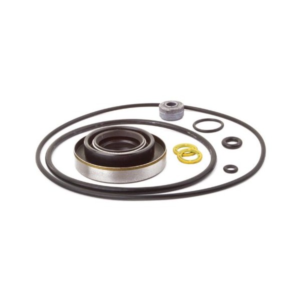 SEI Marine Products-Compatible with Force Seal Kit FK1061 70 75 HP 1979 1980 Outboard Lower Units