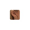 ASCOMY Gold Stud Earrings for Women Dainty Bow Earrings 14K