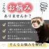 Small Animal Carry Rabbit Pet Carrier Rabbit Carry Bag Hamster