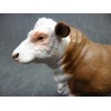 CollectA NIP * Polled Hereford Bull * 88861 Breyer Cow