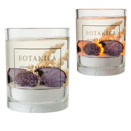 Botanica jeruraito Violet (Black Currant Cassis) Violet Gel Light Botanica Old & New o-rudoandonyu-