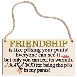 Funny Friend Gifts for Women: Best Friendship Gift Under $15 - Wooden Plaque Sign for Her & BFFs