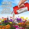 Messina Wildlife Mole & Vole Animal Stopper Granular Repellent -