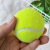 Fcliqzod888 12 Pack Pressure Matching and Training Tennis Balls Practice