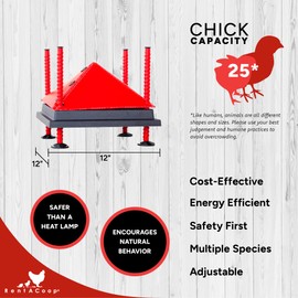 RentACoop 12x12 Inch Adjustable Heating Plate with Bonus Foldable Anti-Roost Cone for up to 20 Chicks | Small Chick Brooder Heat Plate – Energy-Efficient and Safer Than Heat Lamps