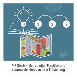 KOSMOS 617226 Fossils Excavation Kit, Digging Real Petrifications and Amber Yourself, with Hammer and Chisel, Experiment Set for Children from 7 Years, Multilingual Instructions