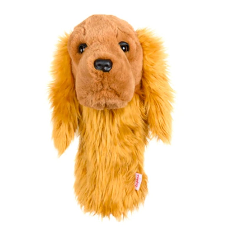 Cocker Spaniel, Does Not Apply