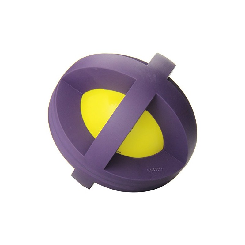 Happy Pet Boingo Ball Dog Toy - Large (Assorted)