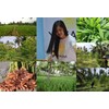 YFF 250 Capsules GRAVIOLA SOURSOP Leaf Extract 5000mg Annona Muricata