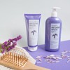 Clearé Institute Purple Matte Mask Neutralises Unwanted Tones Purple Matte