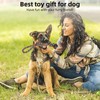 Flirt Pole for Dogs, Extendable Dog Flirt Pole with Detachable